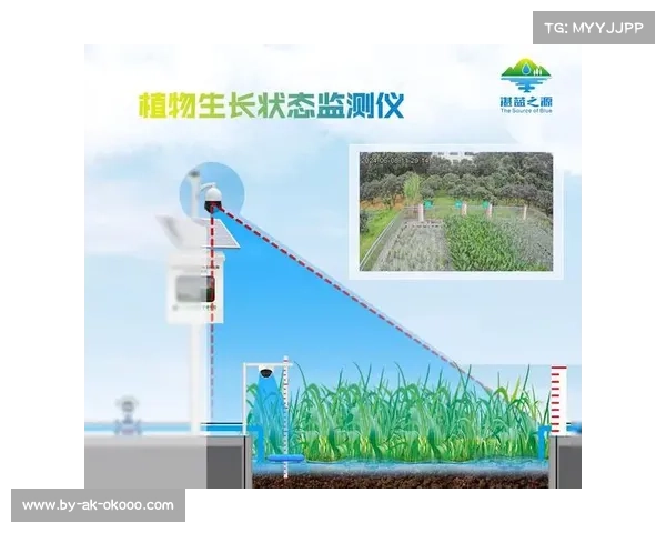 美网阿瑟·阿什球场引入全新草地球速监测系统提升比赛精准度 美网阿瑟·阿什球场引入全新草地球速监测系统提升比赛精准度